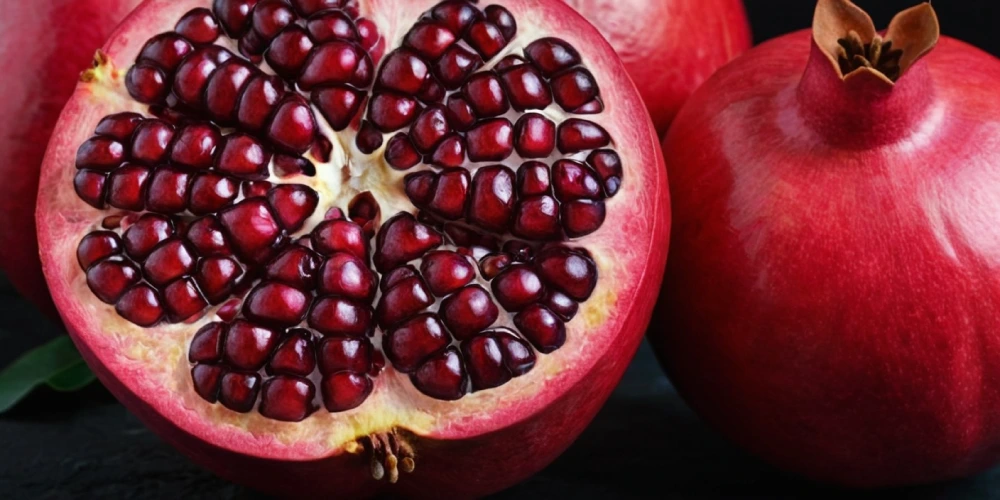 Guinea Pigs Eat Pomegranate