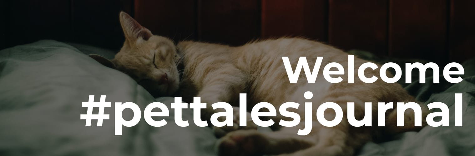 pettalesjournal.com